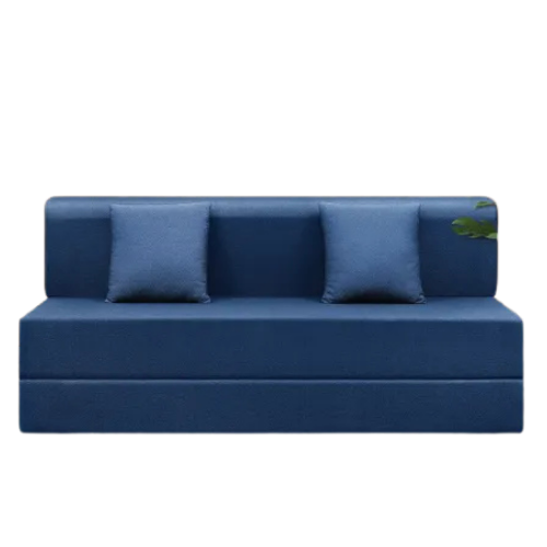 Sofa cum Bed D2